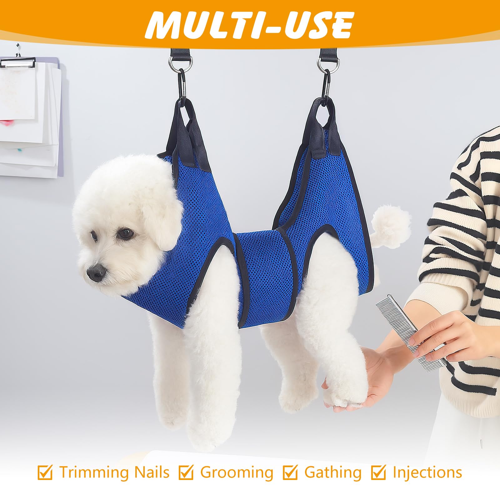 ondware comparaison taille montrant adaptation aux petits chiens