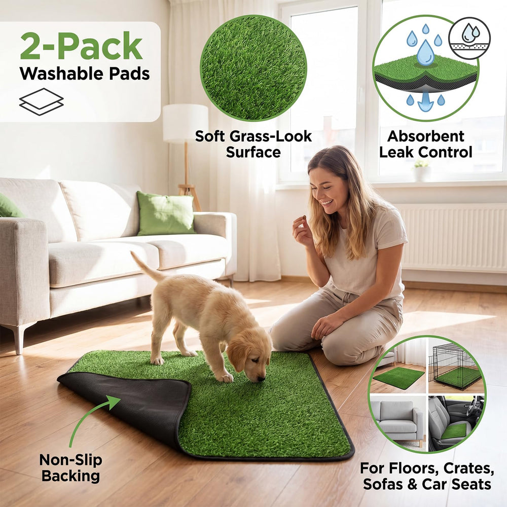 ondware chiot utilisant le tapis à l'intérieur, aide à l'entraînement