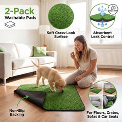ondware chiot utilisant le tapis à l'intérieur, aide à l'entraînement