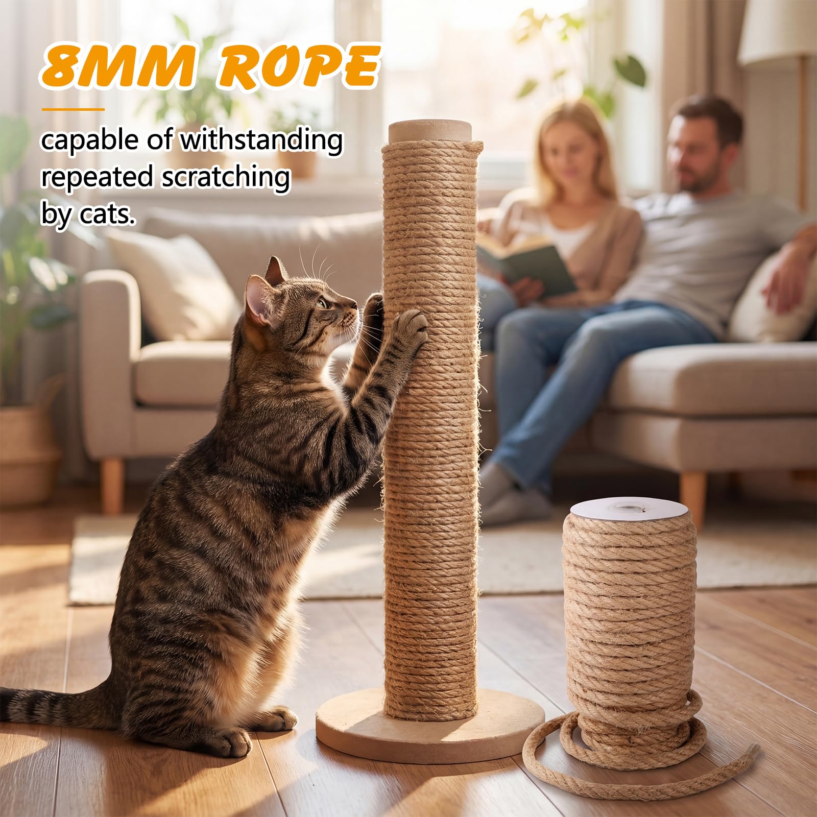 ondware griffoir en usage par chat montrant attraction et protection meubles