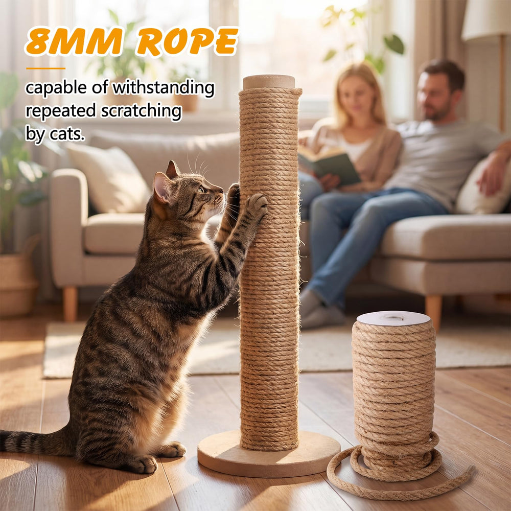 ondware griffoir en usage par chat montrant attraction et protection meubles