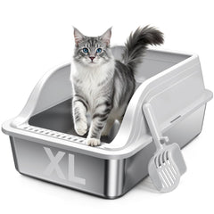 OneBug bac face avant montrant espace XL et confort pour chat