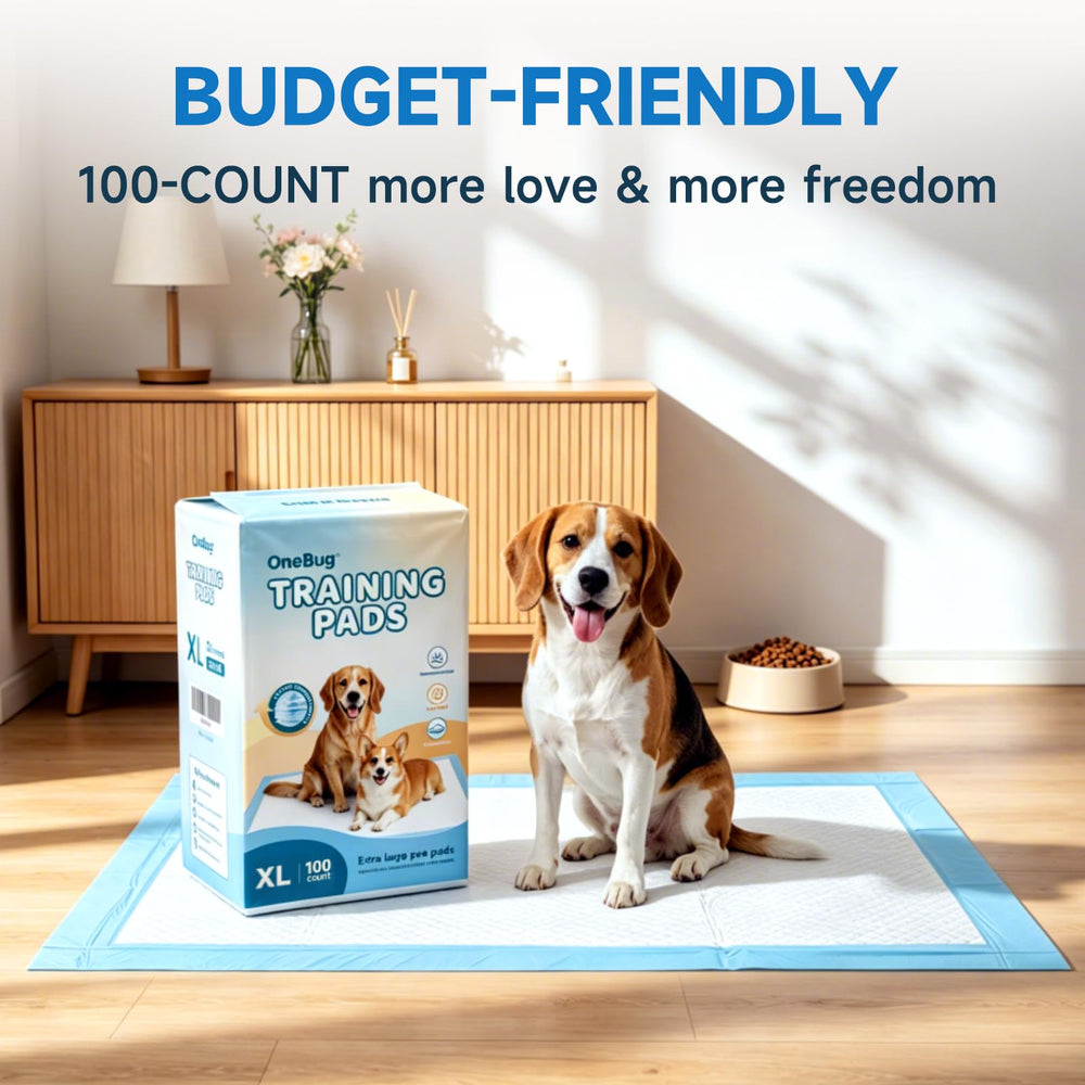 OneBug comparaison d'échelle 28x34 montrant protection étendue
