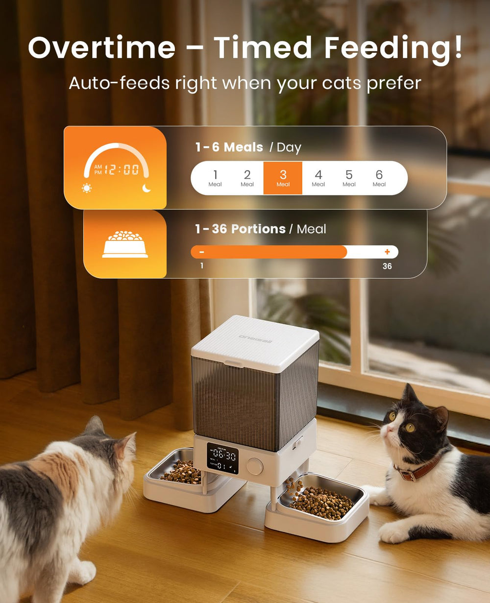 oneisall comparaison échelle avec une main pour visualiser dimensions compactes