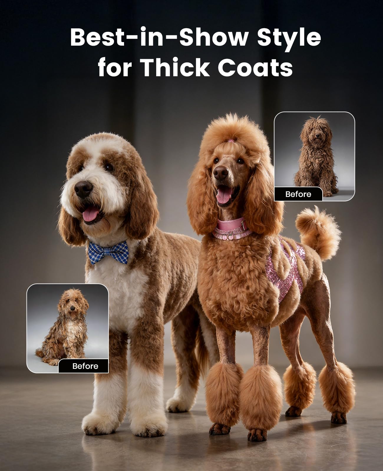 oneisall tondeuse en action sur visage chien, sécurité pour zones sensibles