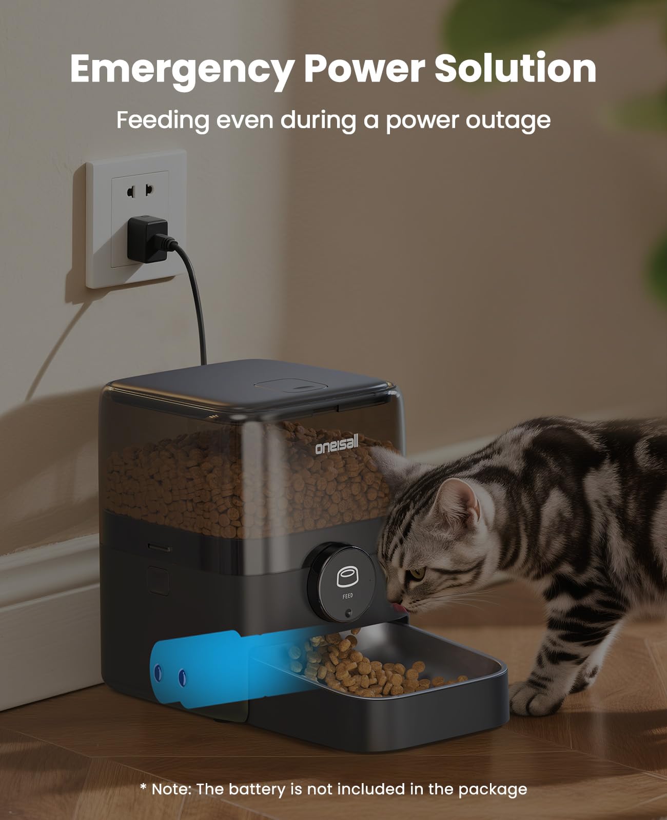 oneisall dans une cuisine avec un chat illustrant usage domestique sûr