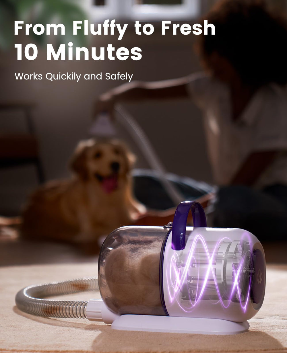 oneisall en usage sur chien à poils épais réduisant la mue visible