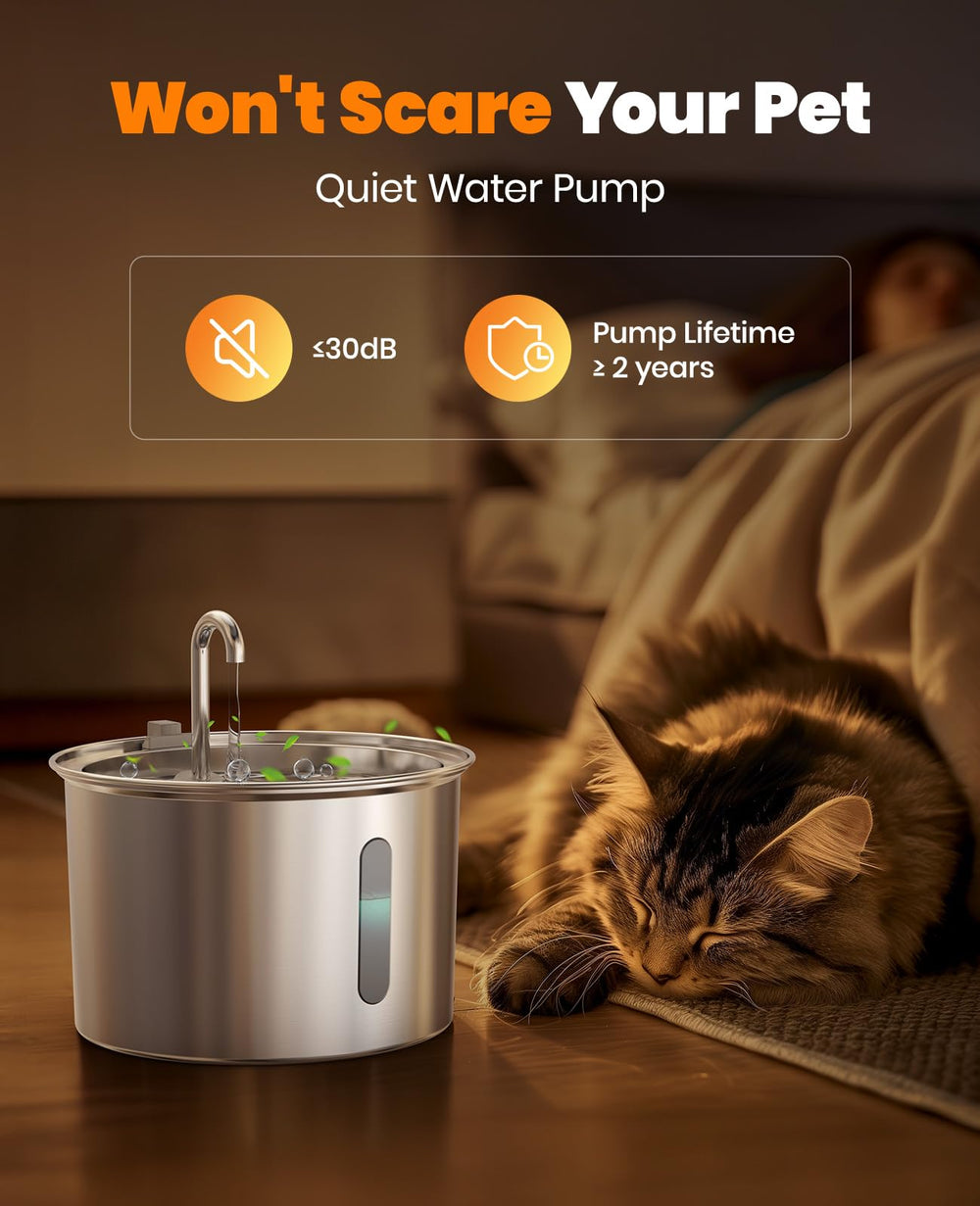 oneisall chat boit de la fontaine encourage hydratation régulière