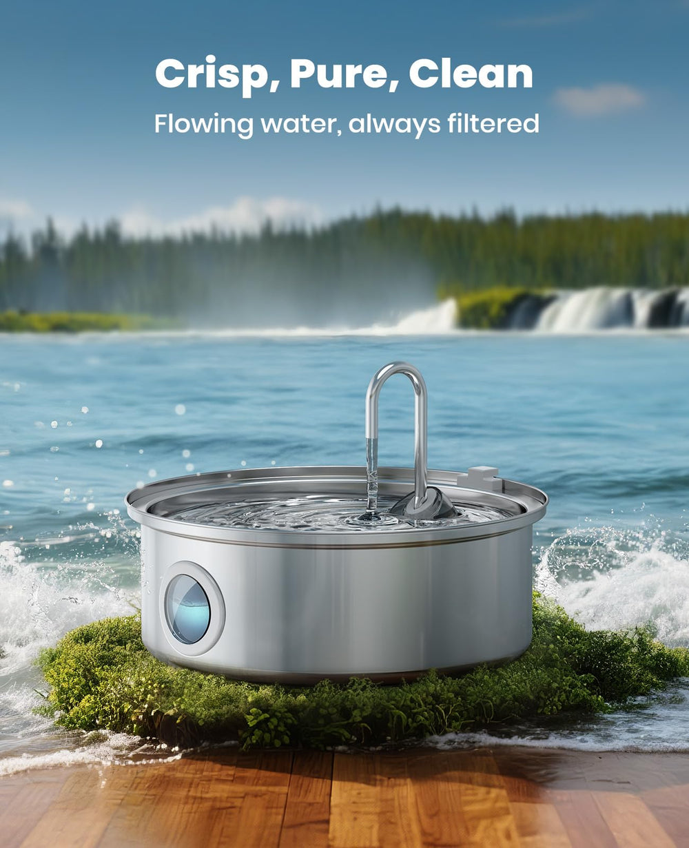 oneisall fontaine deux chiens boivent ensemble favorise hydratation partagée