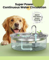 oneisall fontaine en usage avec grand chien facilitant l'accès à l'eau