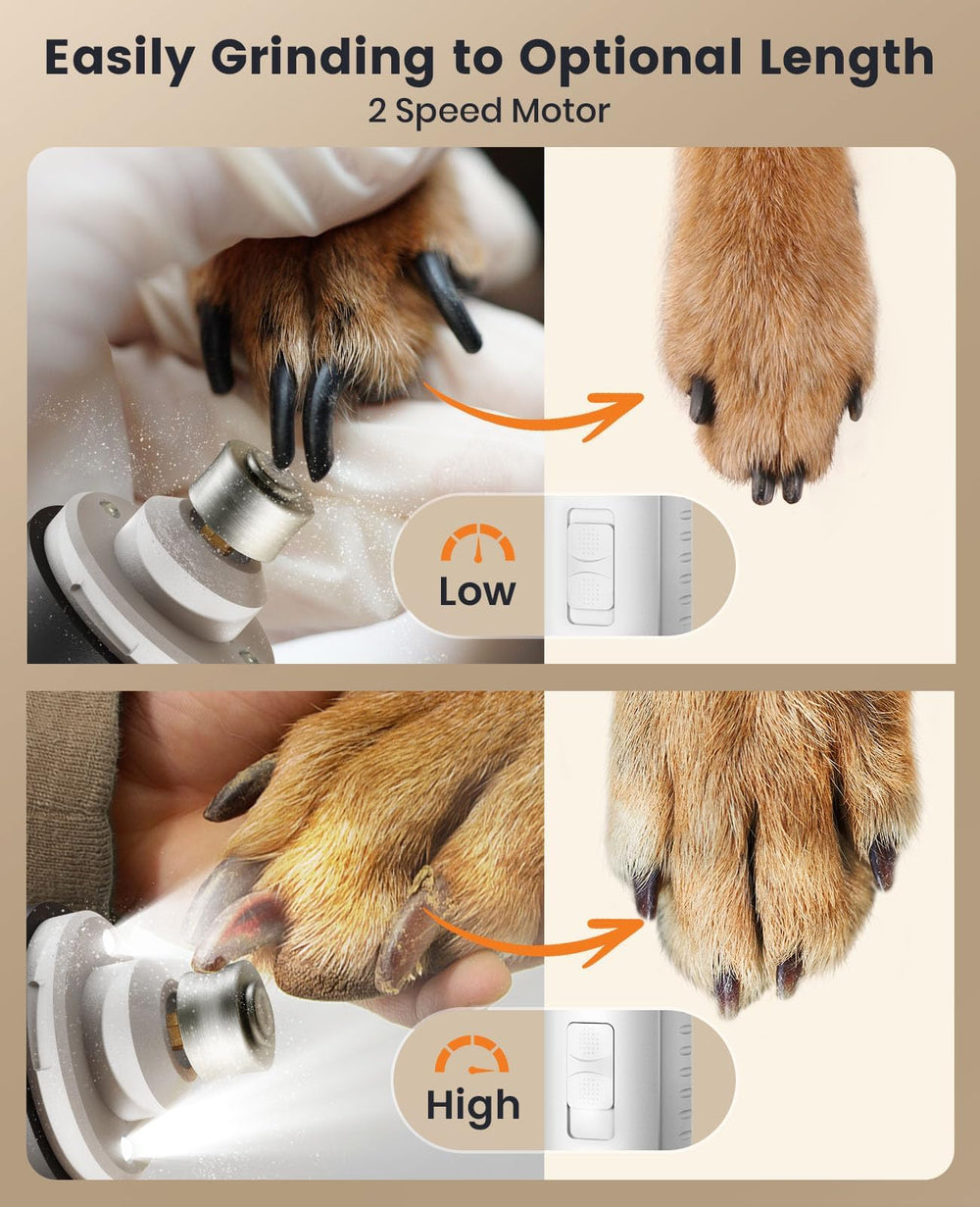 oneisall lime en action sur un ongle de chien montrant limage doux et contrôlé