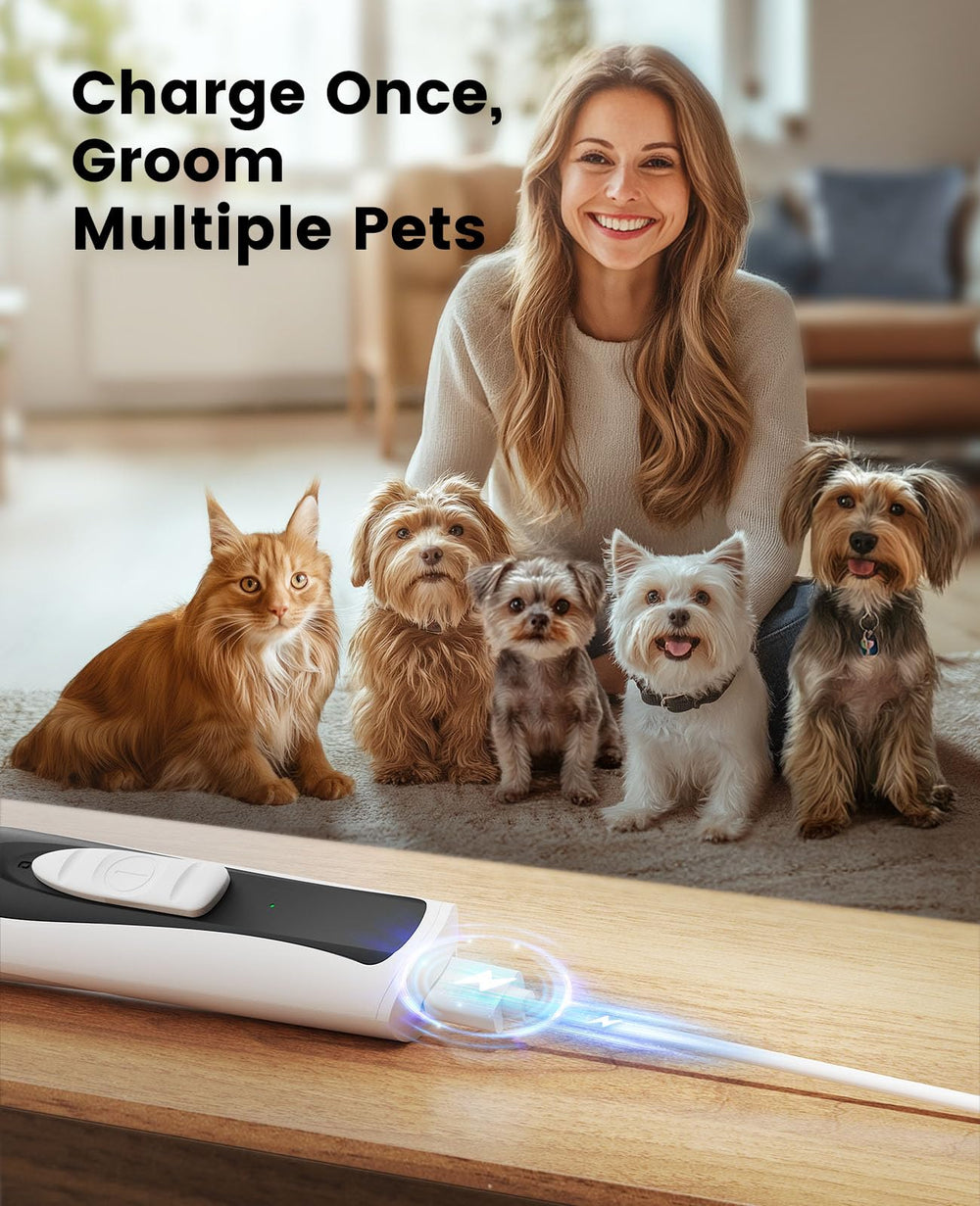 oneisall tondeuse utilisée sur pattes de chien pour retouche en douceur