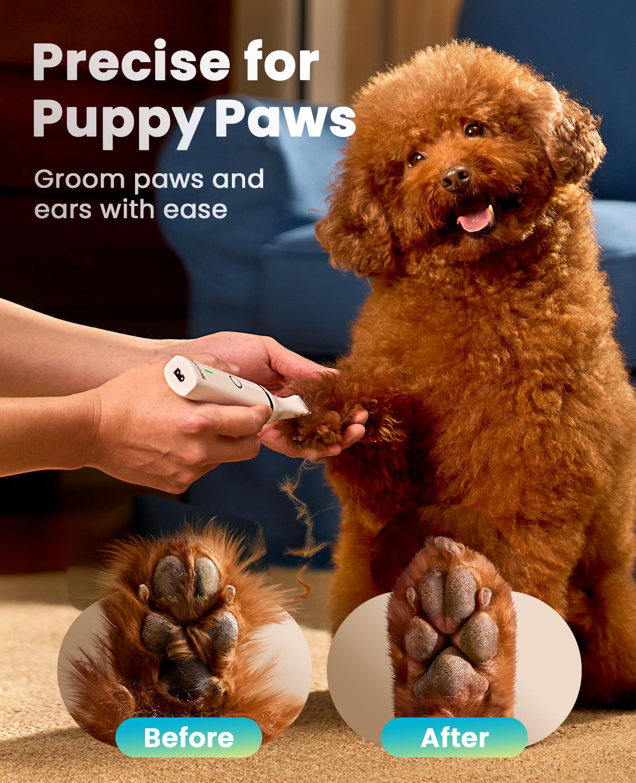 oneisall en usage sur patte de chien pour toilettage calme