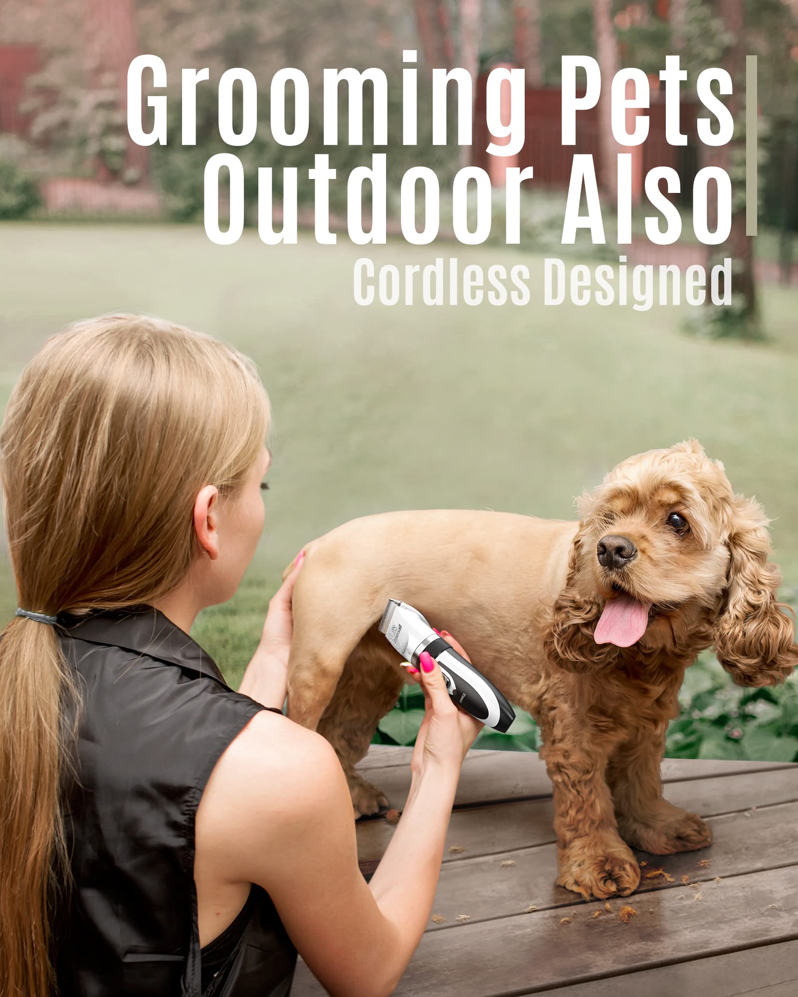 oneisall tondeuse en action sur un chien, coupe silencieuse et confortable