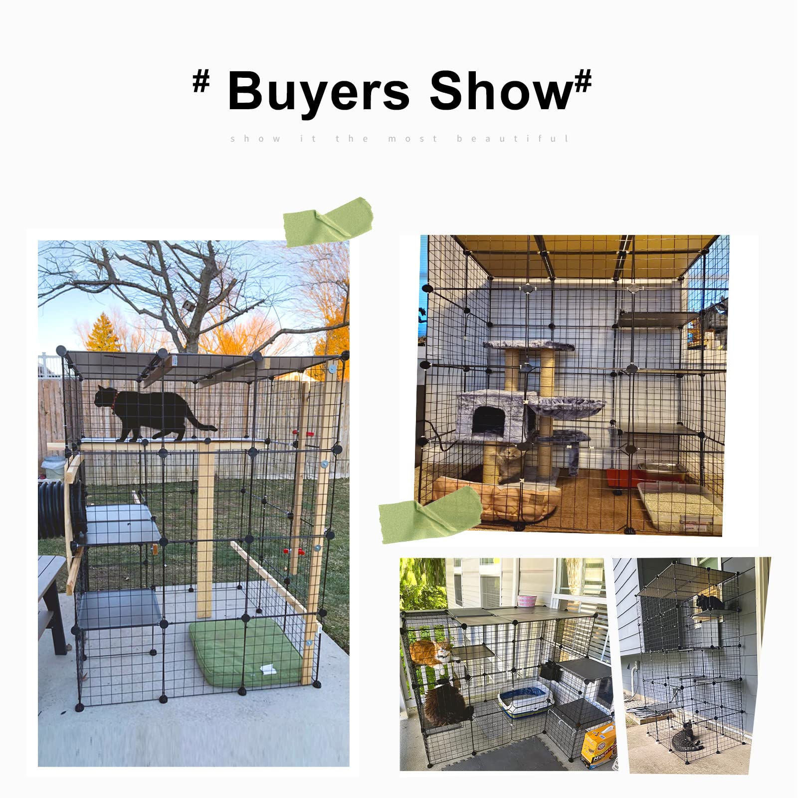 Oneluck chat utilisant l'enclos pour jouer et se reposer
