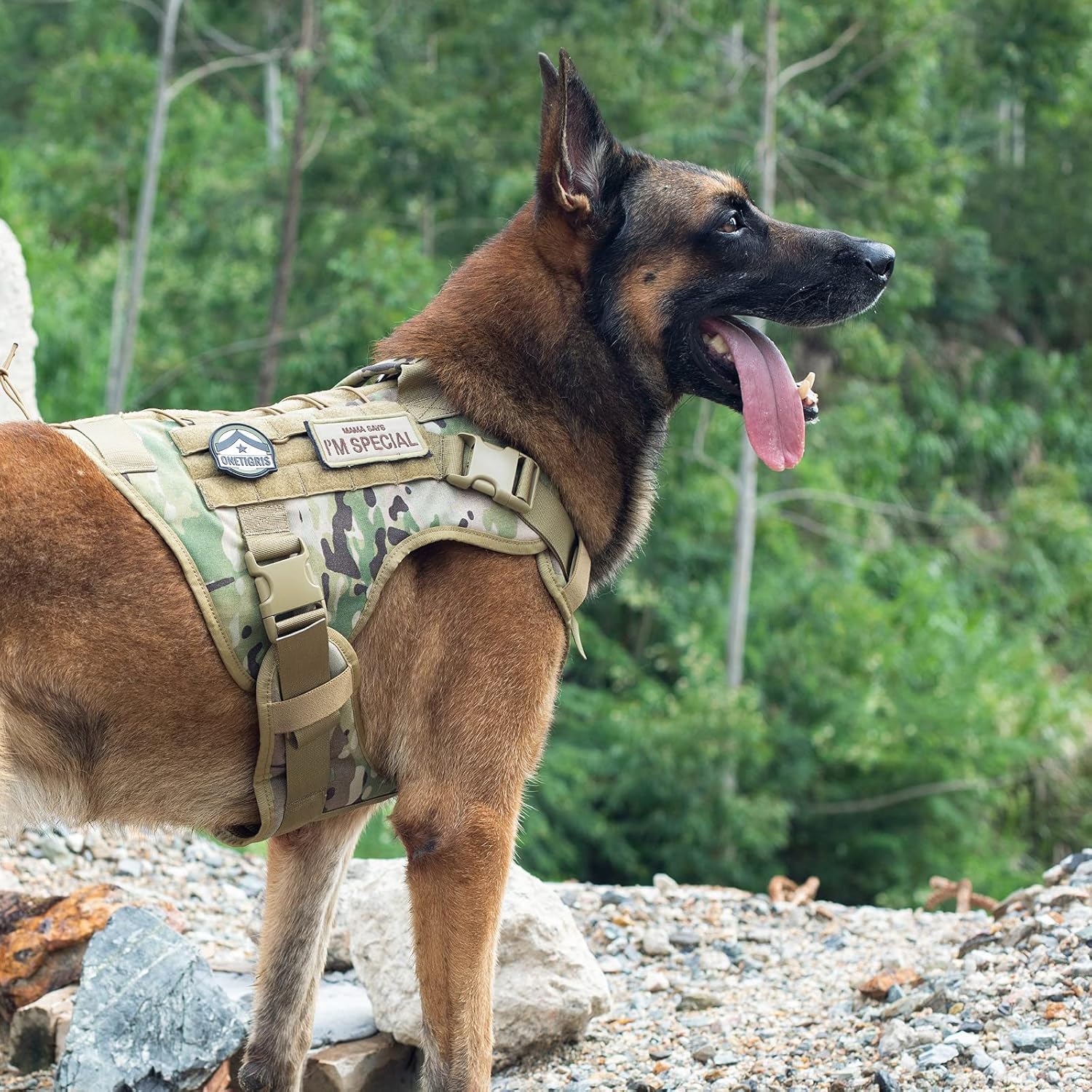 ONETIGRIS harnais en randonnée confort et maintien pour grand chien