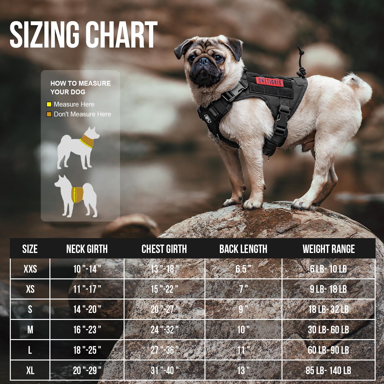 OneTigris gros plan rembourrage montrant confort et protection pour le chien