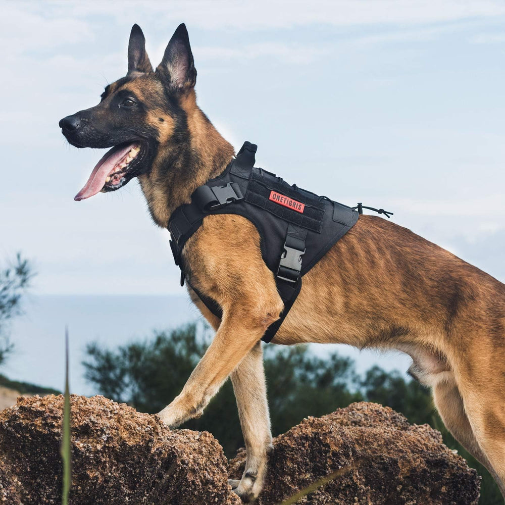 OneTigris grand velcro pour patchs d'identification visible