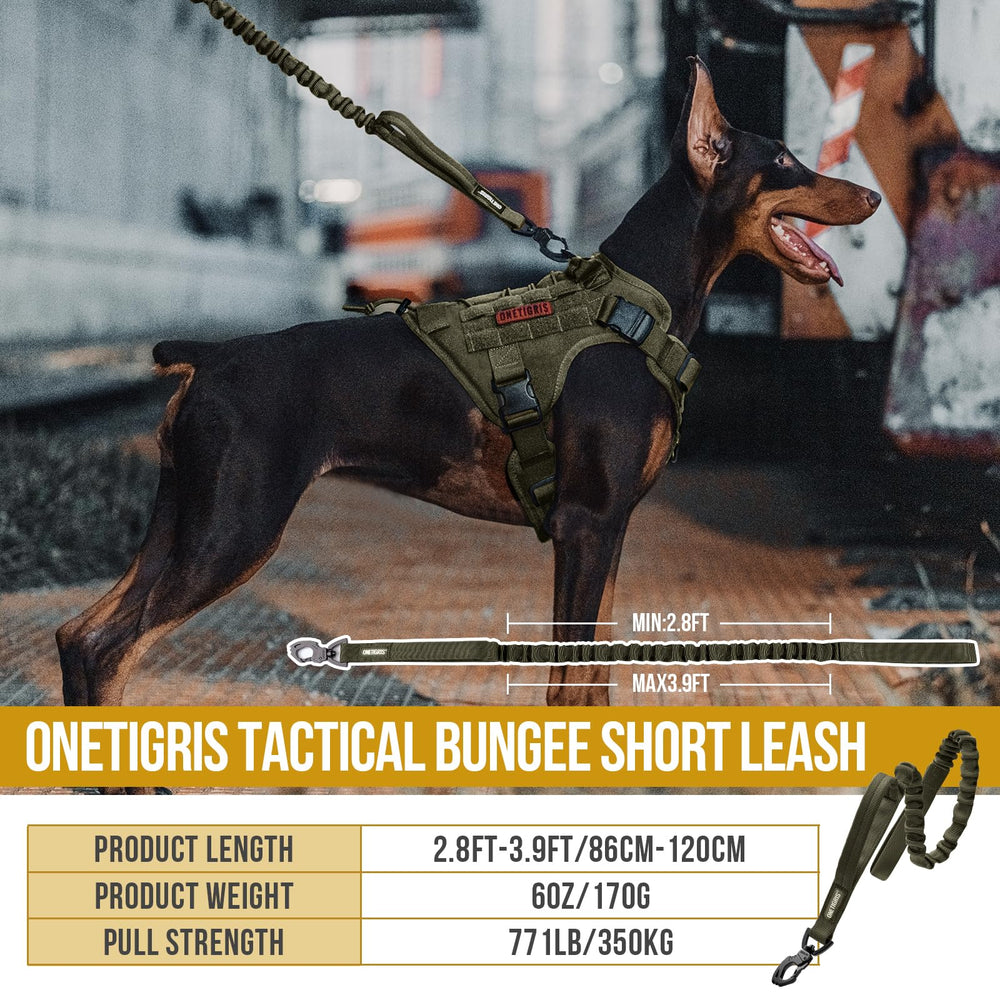 OneTigris gros plan nylon 1000D montrant solidité et durabilité pour promenades