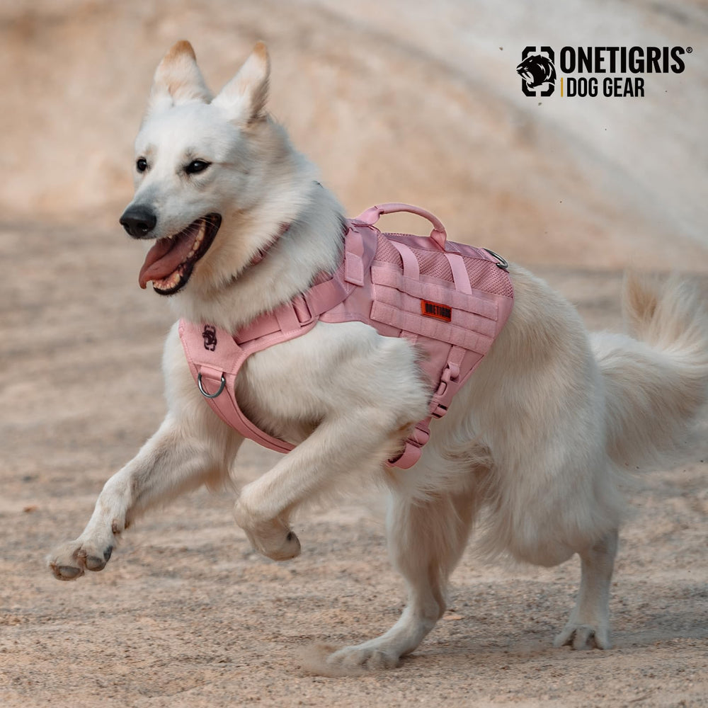 OneTigris panneau MOLLE prêt à accueillir pochettes et accessoires