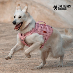 OneTigris panneau MOLLE prêt à accueillir pochettes et accessoires