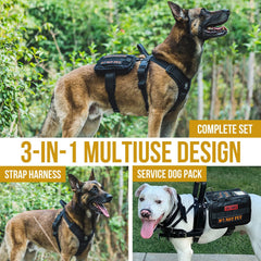 ONETIGRIS poignée et D-rings pour contrôle sécurisé du chien