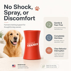 Chien réceptif à l'ONKEY ShakeTrainer lors d'une interaction contrôlée
