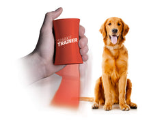 ONKEY packaging frontal montrant kit ShakeTrainer et bénéfice instructif