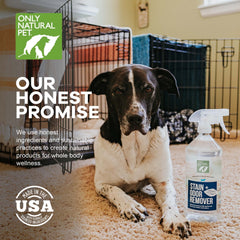 Only Natural Pet spray utilisé sur tapis pour résultat propre