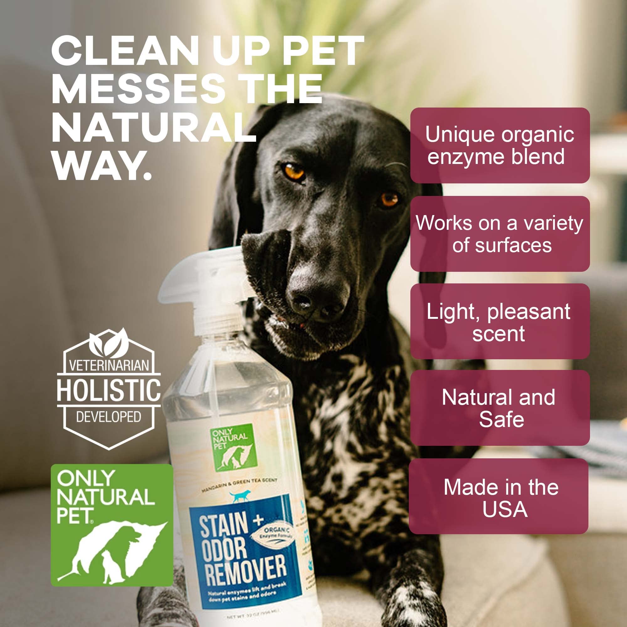 Only Natural Pet zone de canapé nettoyée montrant efficacité