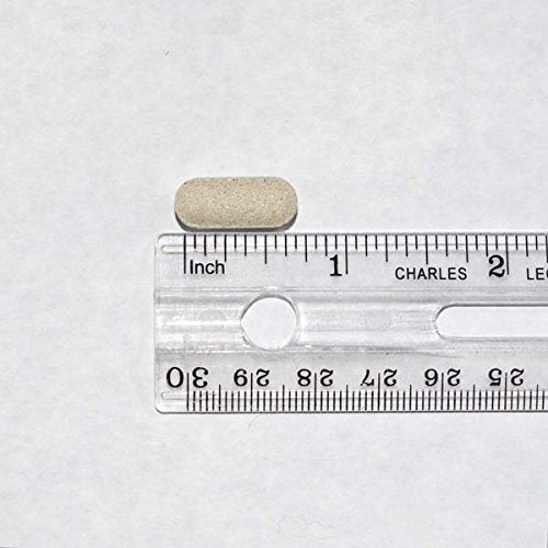 Only Natural Pet comprimé près d'une main pour comparaison taille, dosage clair