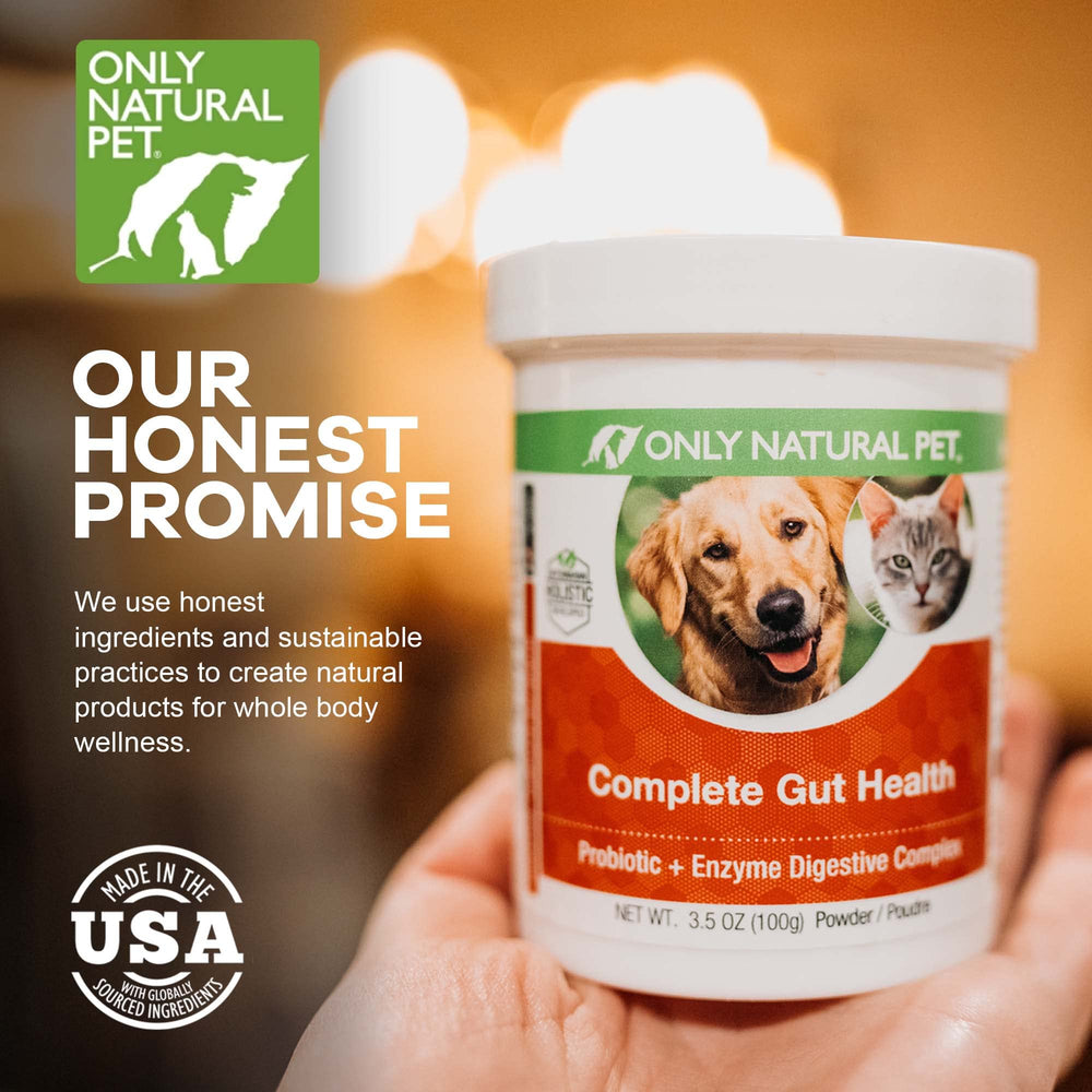 Only Natural Pet chien mangeant croquettes avec poudre, favorise appétit régulier