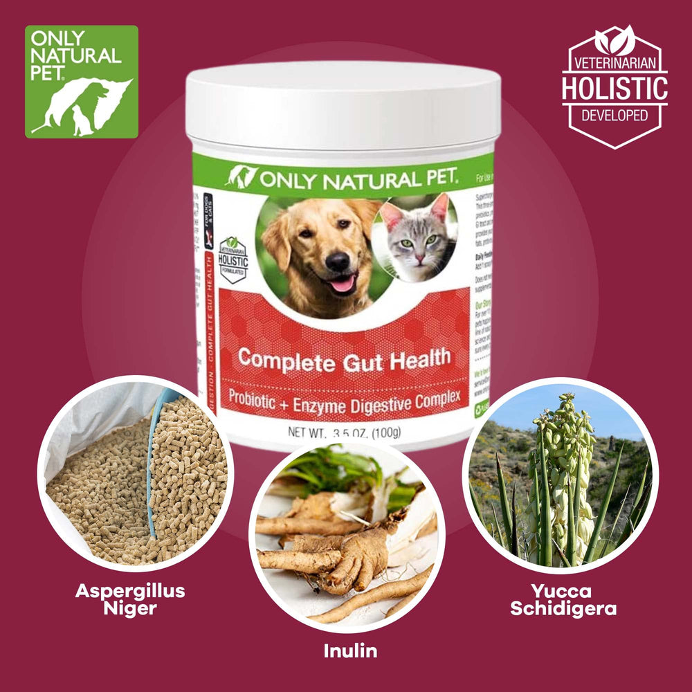 Only Natural Pet poudre en gros plan montrant la texture fine et homogène