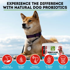 Only Natural Pet gros plan sur la texture des pastilles pour appétence et qualité