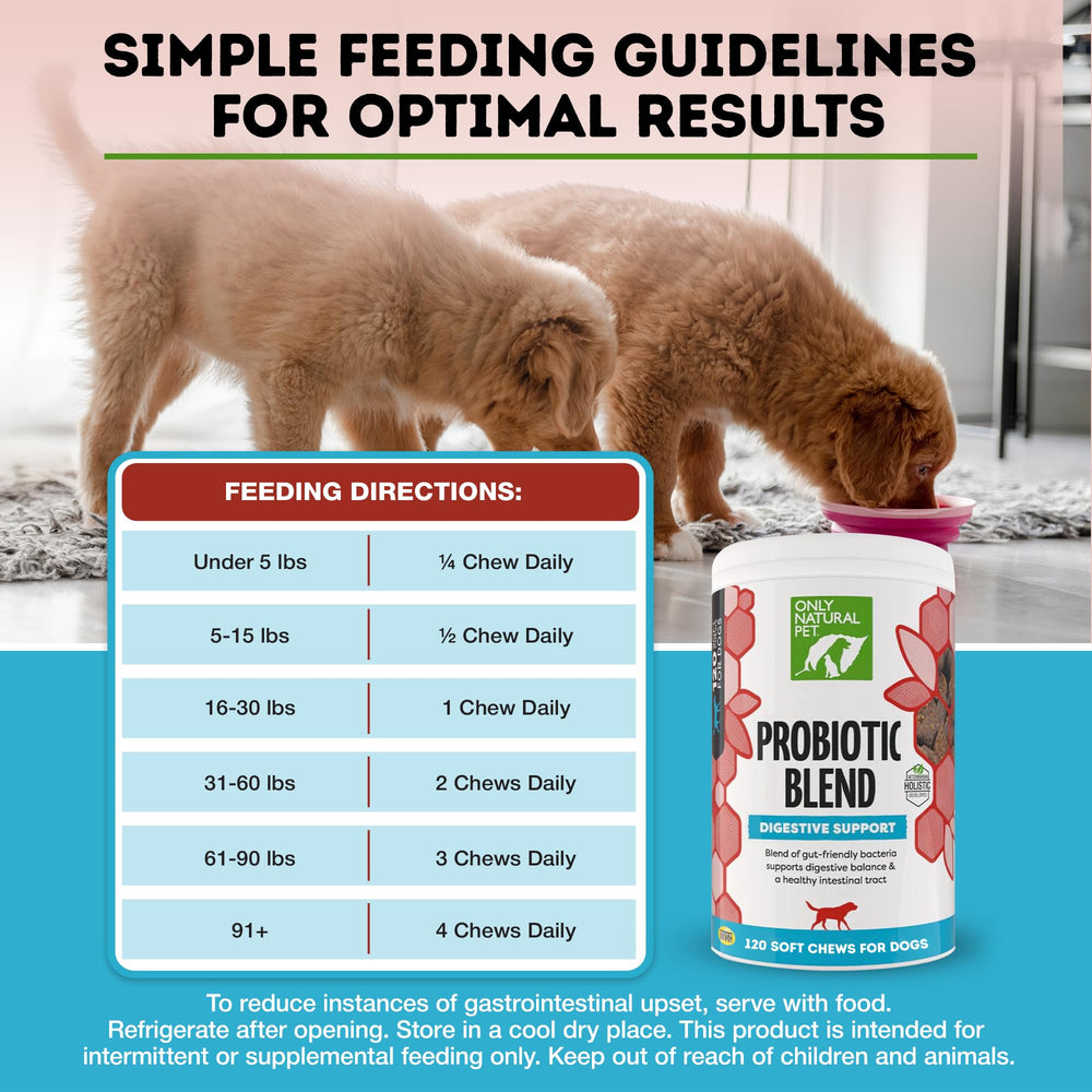Only Natural Pet scène quotidienne avec chien montrant administration simple et acceptation