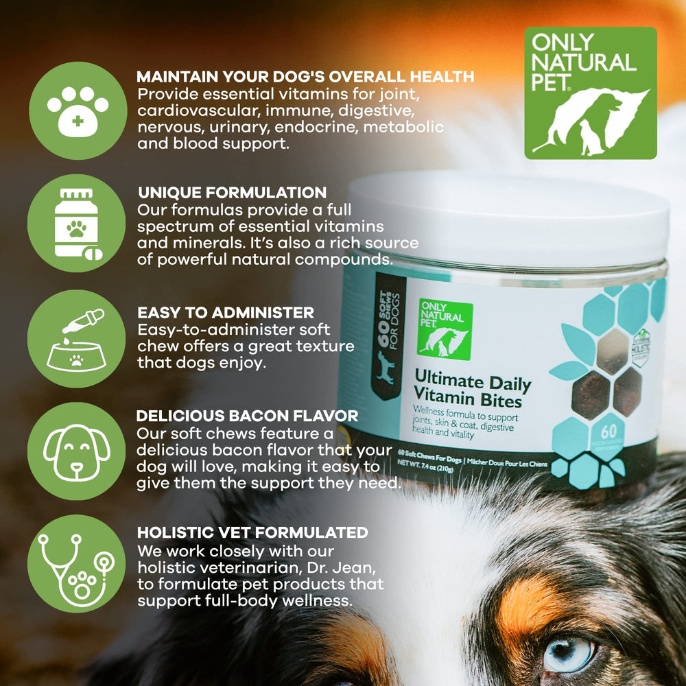 Only Natural Pet texture mastiquable détail et facilité d'absorption