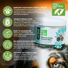 Only Natural Pet texture mastiquable détail et facilité d'absorption