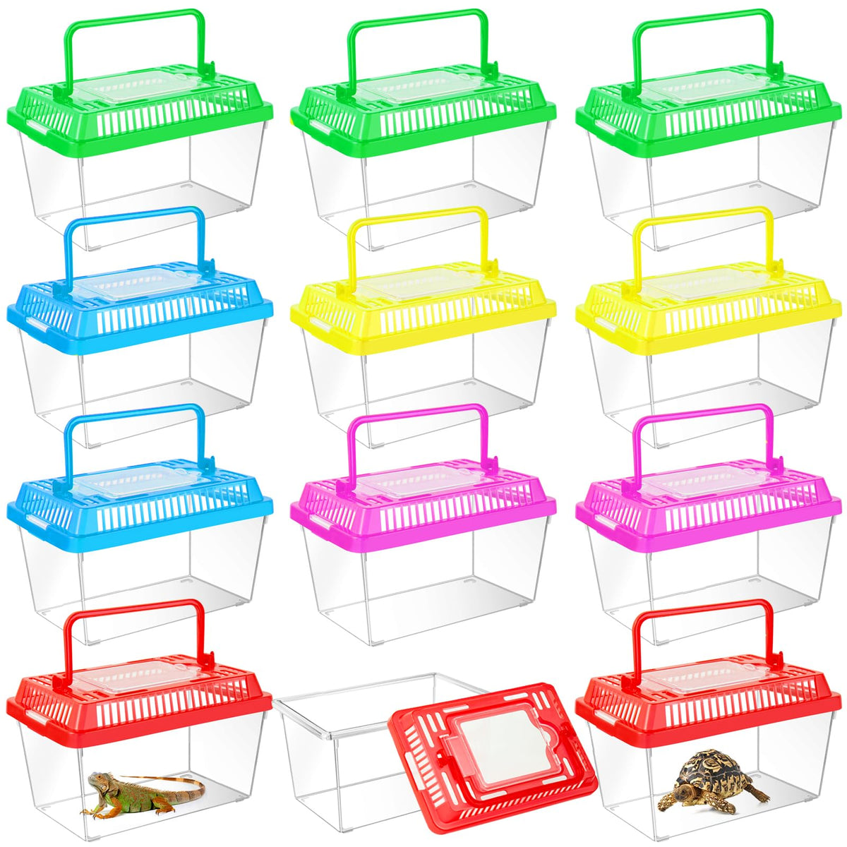 ONLYFU boite avant transparente montrant contenu et observation facile