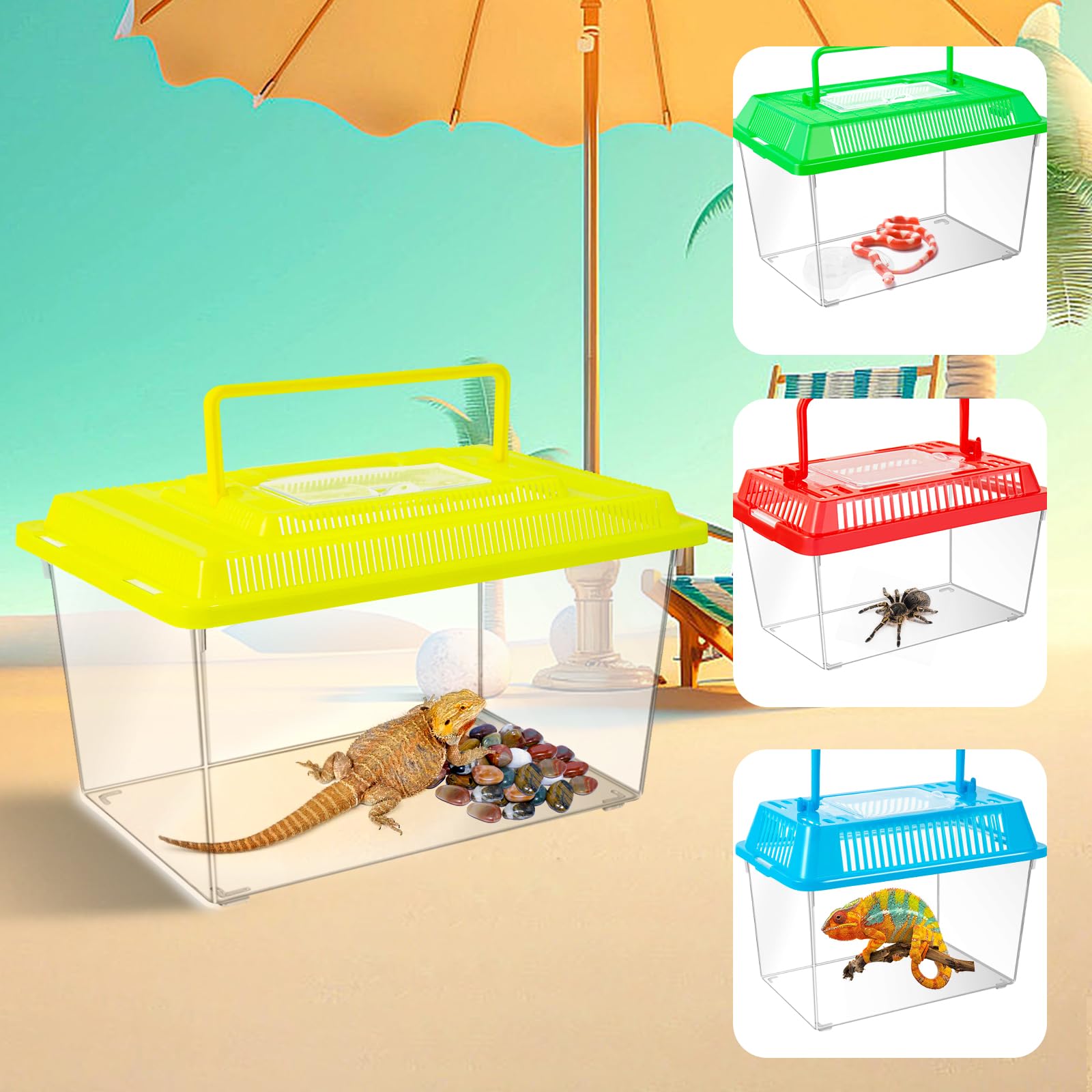 ONLYFU boîte utilisée pour tarantule démontrant sécurité et visibilité
