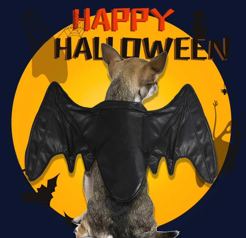 Onmygogo scène Halloween montrant costume attrayant et photogénique