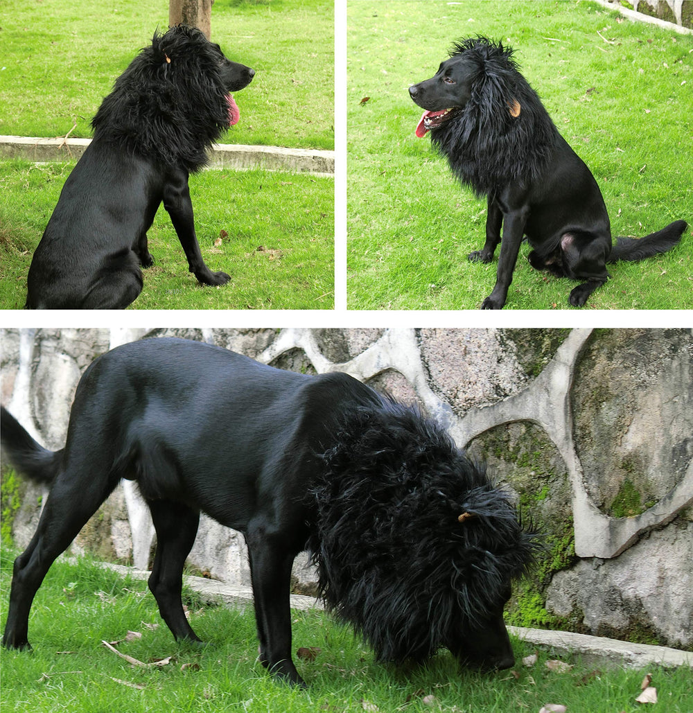 Onmygogo perruque portée par un chien, maintien sécurisé et rendu réaliste