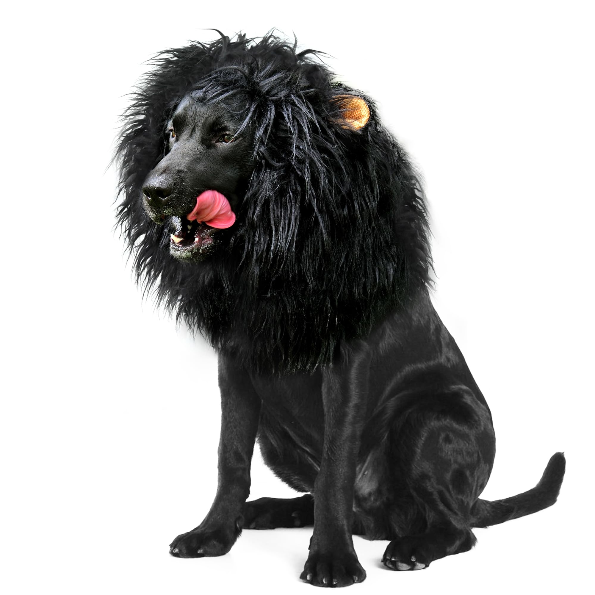 Onmygogo perruque-lion vue avant avec emballage, apporte un look royal au chien