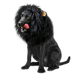 Onmygogo perruque-lion vue avant avec emballage, apporte un look royal au chien