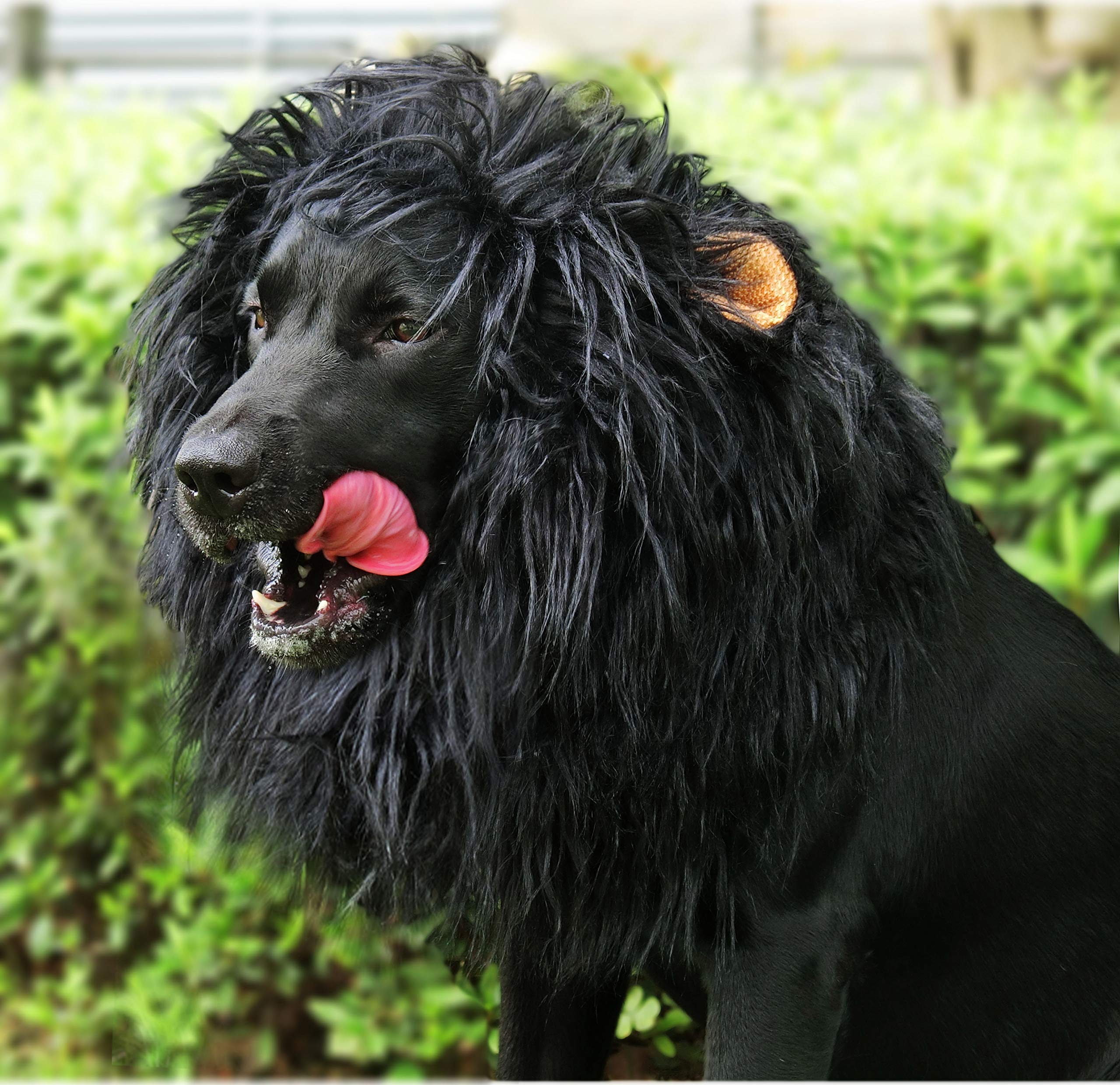 Onmygogo gros plan sur la texture de la peluche, douceur confortable pour l’animal