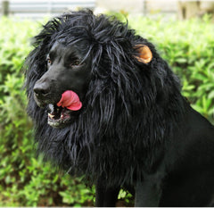 Onmygogo gros plan sur la texture de la peluche, douceur confortable pour l’animal