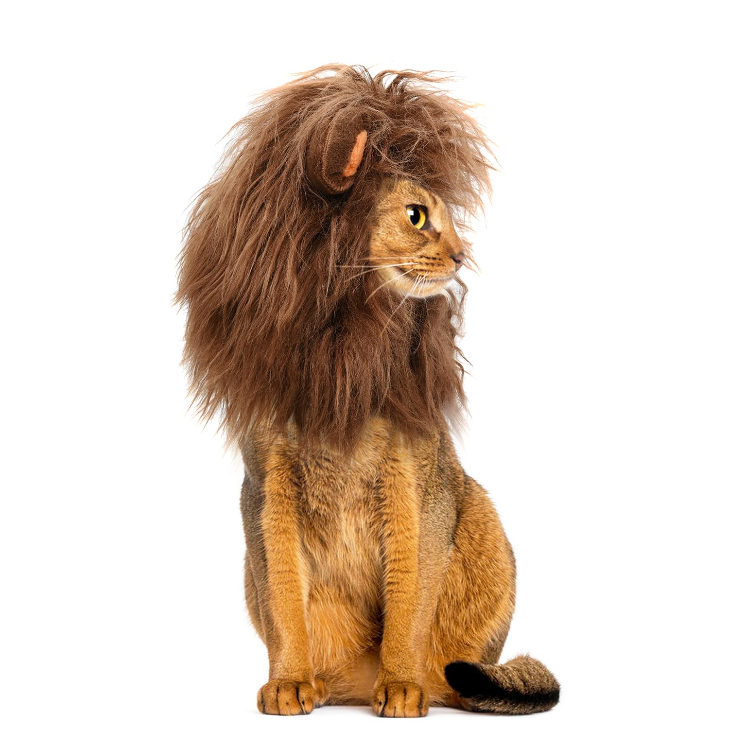 Onmygogo gros plan matière peluche douce garantissant douceur