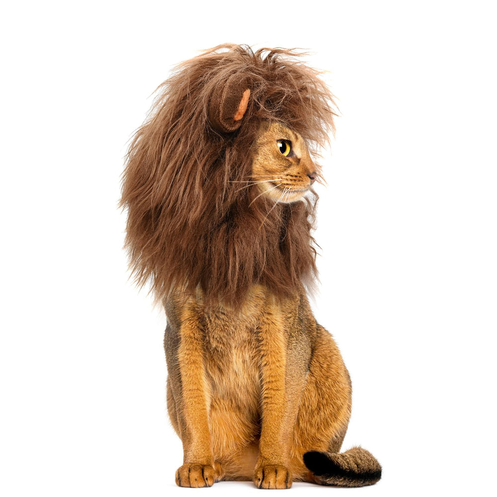Onmygogo gros plan matière peluche douce garantissant douceur