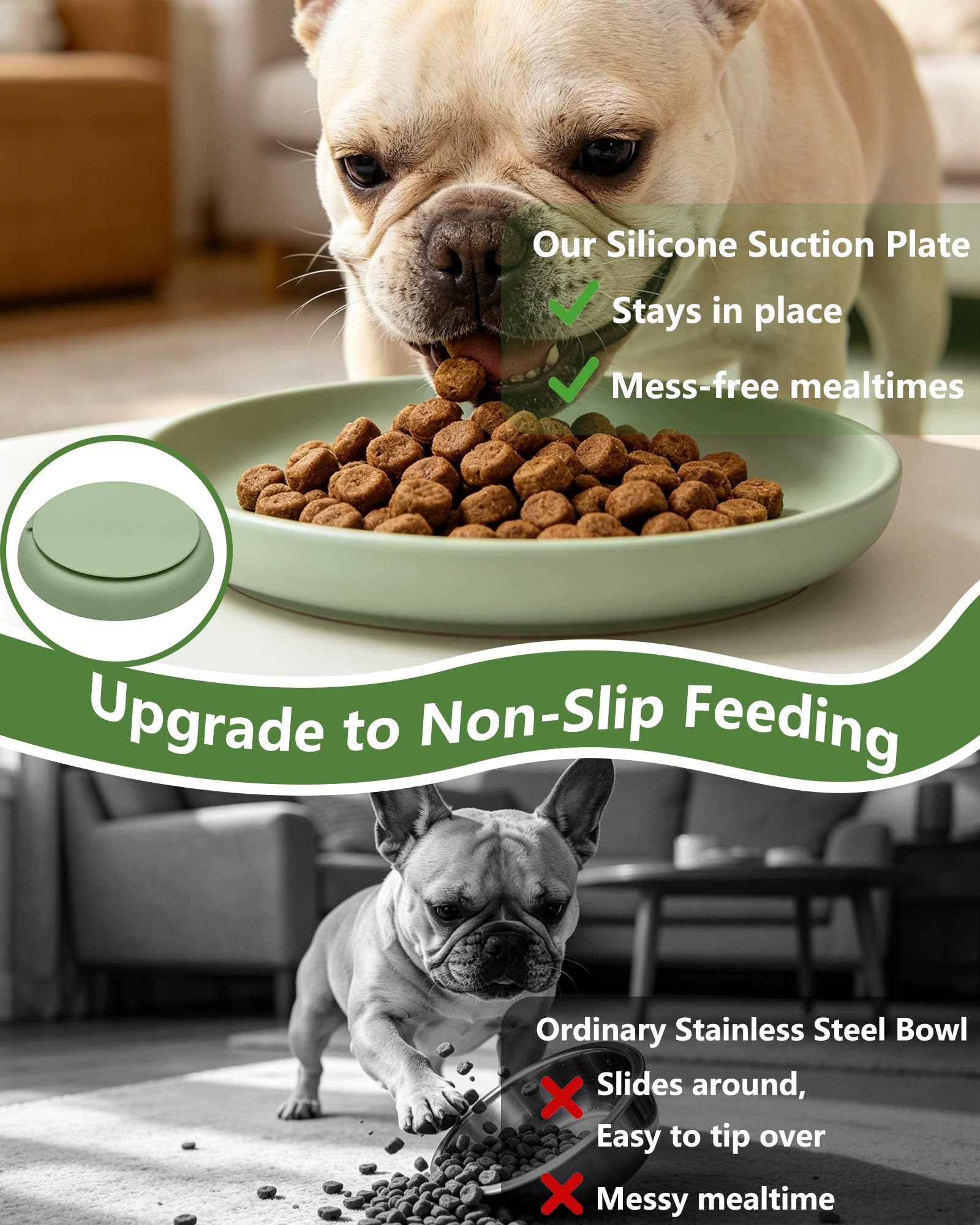 Onyucean gamelle vue de profil plate pour repas sans fatigue des moustaches