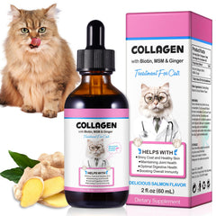 Onznoz flacon Collagen for Cats en gros plan montrant l’étiquette, apporte sécurité