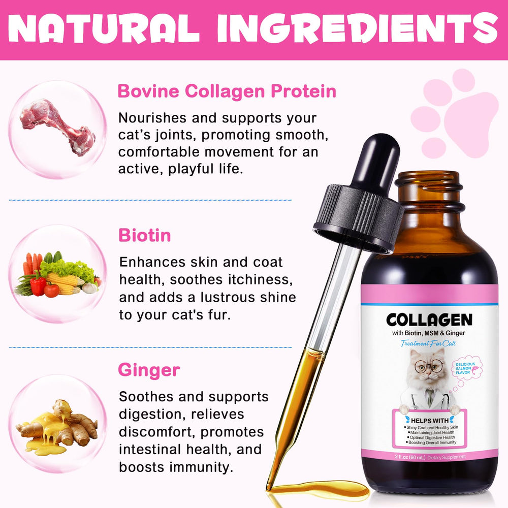 Étiquette Onznoz Collagen for Cats lisible, montre informations produit utiles